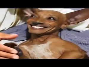 you laugh 2 times, you restart