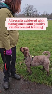 14K views · 164 reactions | Chase behaviours resolved with positive...