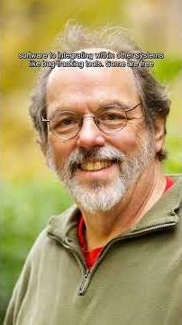 Wikis: The Collaborative, Flexible Web Publication System