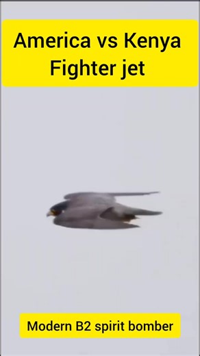 America vs Kenya #trendingvideo #fyp #fyyyyyyyyyyyyyyyy #kenyantiktok🇰🇪 #foryoupage #fypシ゚viralvideo #😂😂😂