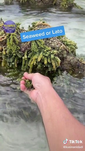 Delicious Pinoy Seaweed Salad Recipe