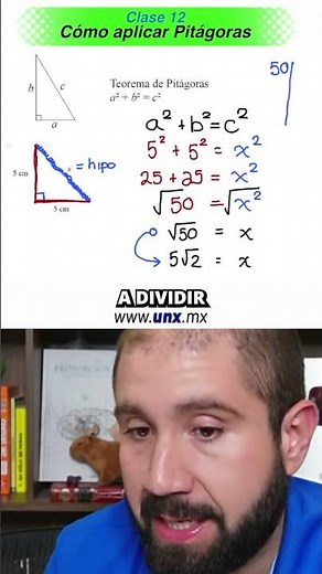 Como le hago para saber las equivalencias ✅