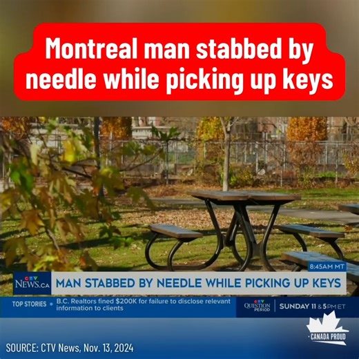 18K views · 409 reactions | A Quebec man is now on drugs for HIV and hepatitis because he accidentally touched a drug needle hidden under some leaves. An example of why we need major course reversal on the drug crisis. | Canada Proud | Facebook