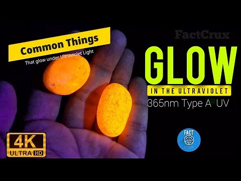 Things that glow in blacklight | Black light Experiments #Blacklight #UVlight