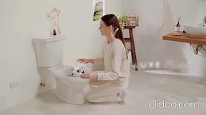 Luxe Bidet NEO Series Installation Guide: NEO 110, 120, 180, 185 Bidet Attachment Setup