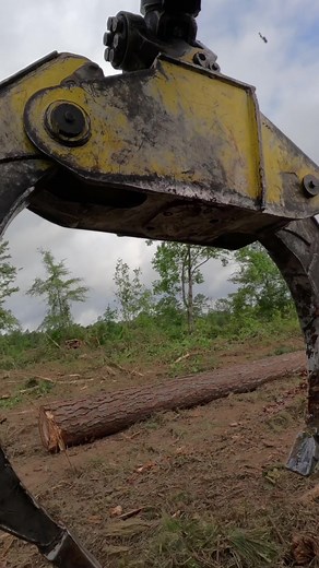 Big logs never fail #fyp #texasloggers #southernloggers