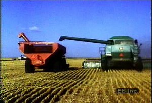 Farmers use combine to harvest South Dakota wheat field | Britannica