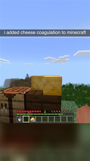 Supplementaries on Instagram: "say cheese #minecraft #supplementaries Now on Bedrock!"