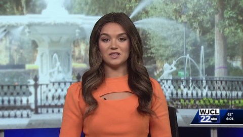 Thousands gather for Hinesville's Hispanic Heritage Festival