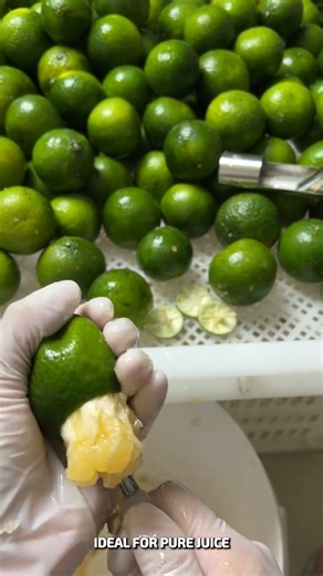 Pure Sweet Lime Extraction by Hand #CitrusPower #EcoProcessing #VitaminBoost | Mundo Videos