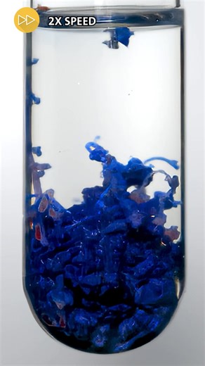 Combining a cobalt(II) chloride seed and an aqueous solution of sodium silicate forms these hollow precipitate structures that seem to grow like tiny plants. Their unique behavior is a result of a careful balance between osmotic pressure, buoyancy, and gravity, which this researcher worked to further understand in a paper published in ACS Omega. Chemical gardens have been used as science fair experiments and party tricks for years, with the first examples dating back to the 17th century. But tod