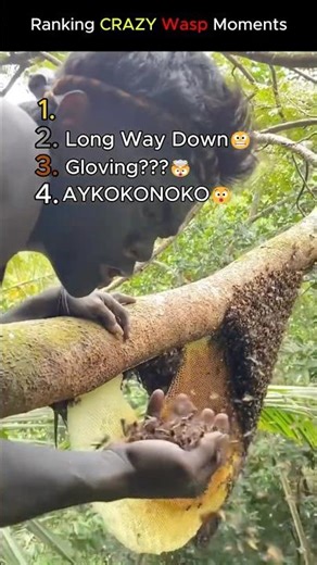 Ranking CRAZIEST Wasp Moments (NUTS)