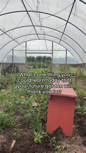 Stringing tomatoes is one of those quiet skills that makes your whole season easier. It’s simple, intentional and gives your plants exactly what they need to grow strong. Better airflow, stronger stems, easier to harvest, less disease and so much less stress later on. I love these slow moments in the tunnel house… taking the time now so everything feels smoother later. It’s the little skills like this that help you get the most out of your garden without making it harder than it needs to be. Sav
