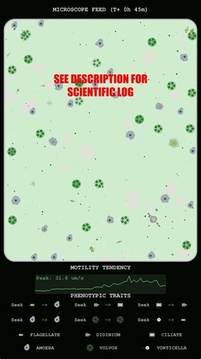 Kinetic Analysis of Multi-Species Micro-Velocity Surges