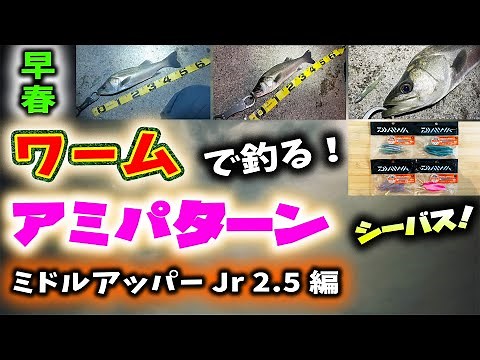ワームで釣る！シーバス早春アミパターン - ミドルアッパー Jr 2.5 編 - マイクロベイトパターン