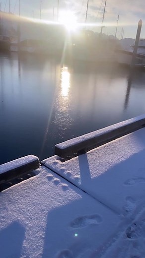 3.3K views · 105 reactions | Last weekend, divers from all over Alaska came together to clean the Seward Small Boat Harbor, including volunteer divers from the ASLC! There were over 30 scuba and freedivers at the event, and even more volunteers who offered their support above water. Thank you to all who participated and came together to help keep our oceans clean  @dive_alaska @sewardchamber | Alaska SeaLife Center | Facebook