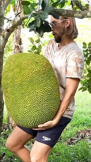 Si esta fruta te cae encima NO sobrevives