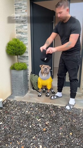 66K views · 2.9K reactions | Heureusement que j’en ai qu’un seul à habiller 藍藍藍 | Mundele | Facebook