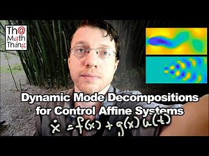 DMD for Control Affine Systems from... Japan?