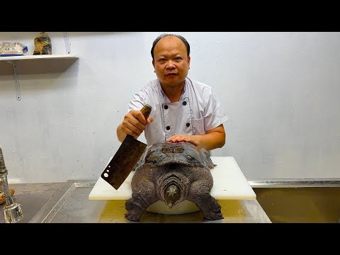 Braised turtle meat with Chinese herbs // gun chef