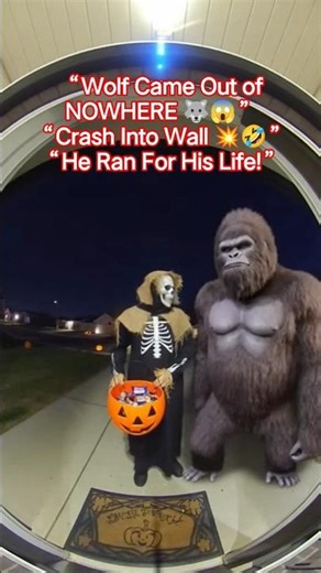 “Wild Animals vs Halloween Characters 😂🔥 | Epic Funny Reactions!”