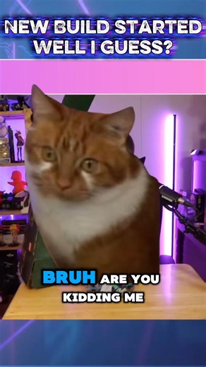 New Build is starting off strong… #liferoot #lego #funny #life #streamer