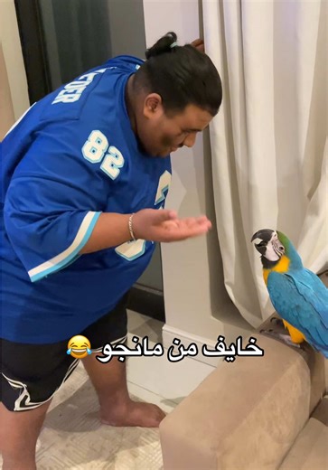 مانجو VS بوش