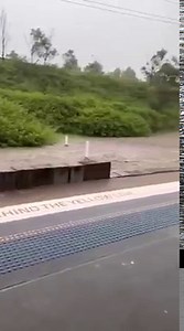 304K views · 975 reactions | Buses are replacing trains between Wollongong and Bomaderry due to flooding on the tracks at various locations. This was Oak Flats train station about 40 minutes ago. Video courtesy of Darren Malone ... Get the latest on school and road closures here >> https://www.illawarramercury.com.au/story/7639225/landslide-at-kiama-bends-as-more-schools-and-roads-close/?cs=300 | Illawarra Mercury | Facebook