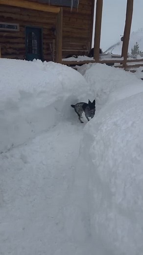 1.7K views · 21 reactions | Do you remember recess as a kid? The bell...