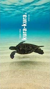 bukan ninja kura-kura (penyu)#shorts