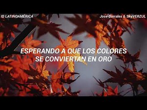 The Fall | Imagine Dragons (Subtitulada al español)