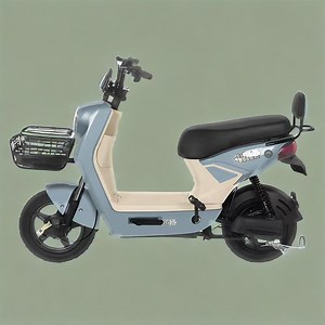[Hot Item] Discounted Factory Electric Bicycles with Custom Branding Options and Seasonal Promotion Packages