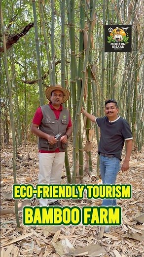 Bamboo Farming ka ek inspirational model Sustainable farming, agro tourism aur natural lifestyle