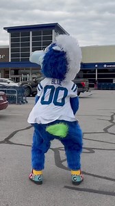DO THE BLUE | Blue Indianapolis Colts Mascot