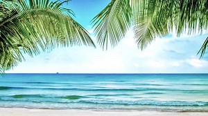 Zoom Into Beach View Virtual Animated Background, Template for Office, Google Meet, Skype, Webex, Facebook, Microsoft Teams, Instant Access - Etsy