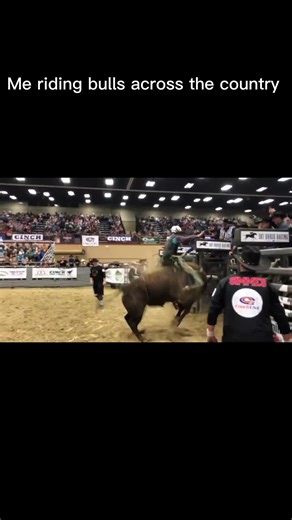 He’s my built in best friend #CapCut #brother #bulltough