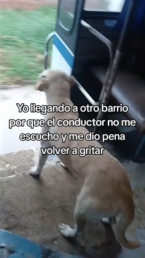 Javier con Awa on Instagram: "Jajajjajaj #meme #soyese #xd #jajaja #reels"