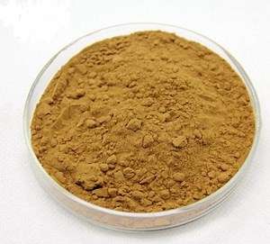 [Hot Item] ISO SGS Certificated 100% Natural Corn Silk Extract Powder 10: 1