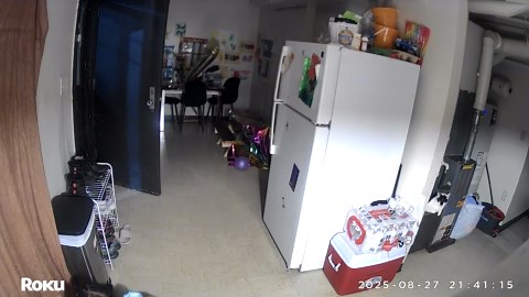 Funny home security footage shows child falling over while trying to carry boxes