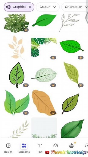 Organic Logo Design | Natural & Eco-Friendly Brand Logo Ideas | Day 31