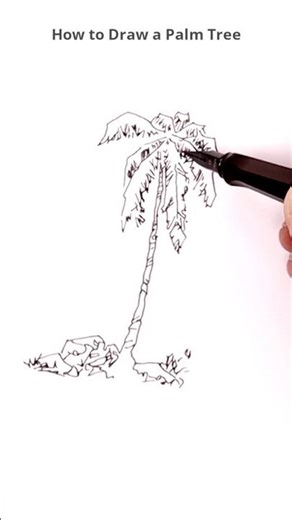 👉 How to Draw a Palm Tree | Easy & Fast Drawing Tutorial 🌴