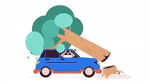 Arab Man Car Hitting Tree Line Stock Footage Video (100% Royalty-free) 3496841423 | Shutterstock