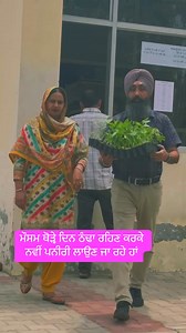 60K views · 940 reactions | Grow your own vegetables | GreenLife Diaries | Facebook