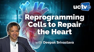 VIDEO: Cellular Reprogramming in Human Disease