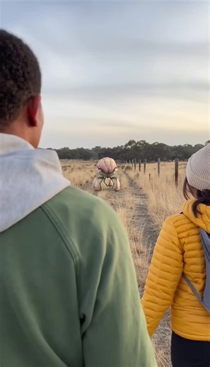 Oleg Pars | Kinetic Fields on Instagram: "Field Notes: January 15 Location: The Pampas, near San Antonio de Areco, Argentina ⠀⠀⠀⠀⠀⠀⠀⠀⠀⠀⠀⠀⠀ Encounter Summary: The gauchos here have a saying about the "lonely roads" that cut through the fields: "If the road blocks you, say thank you and turn back." I didn't understand the superstition until this evening. We were walking back to the estancia along the perimeter wire when we spotted a shape ahead that shouldn't have been there. My friends, curious, 