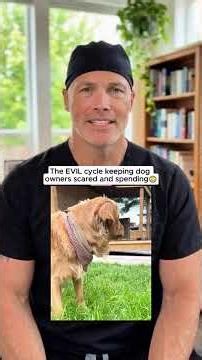 Your dogs bad behavior is a cry for help❤️‍🩹🐶