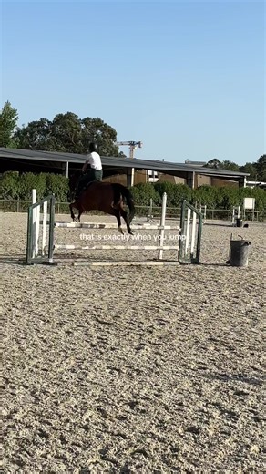 Oh ma god I’m scared . . #horses #horse #horseriding #equestrianlife #equestriangirl