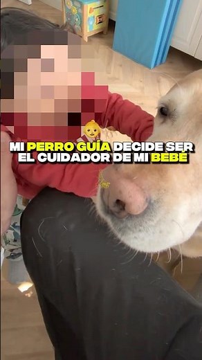 My guide dog decides to be my baby's caregiver 👶🦮