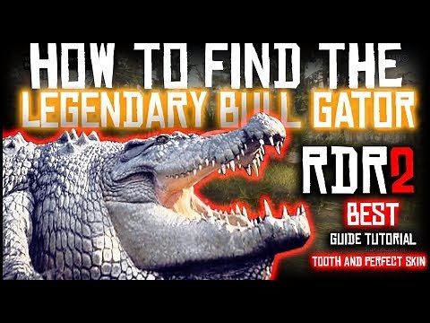 HOW TO FIND THE LEGENDARY BULL GATOR ALLIGATOR | PERFECT CROCODILE SKIN | RED DEAD REDEMPTION 2