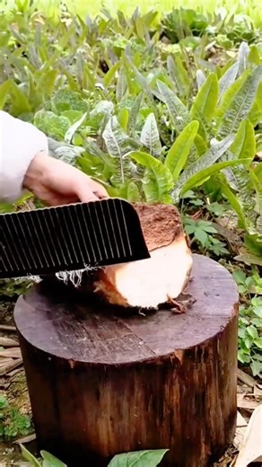 Cutting tuber with a wavy cutter neatly and quickly #shorts